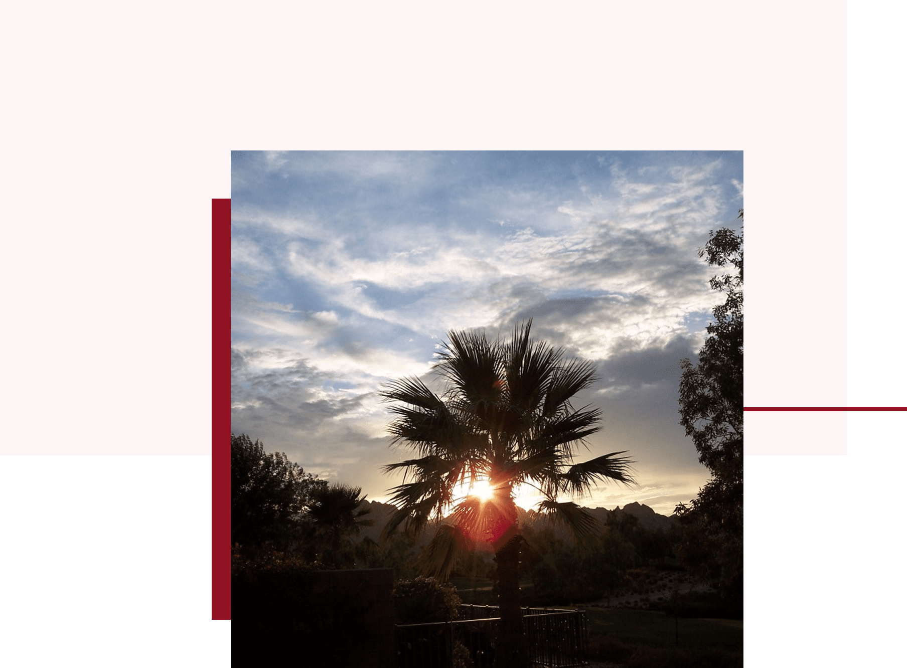 Sunset behind palm tree and cloudy sky.